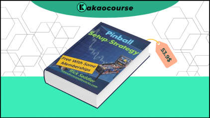 Pinball setup-Strategy by Rick Saddler Free Download